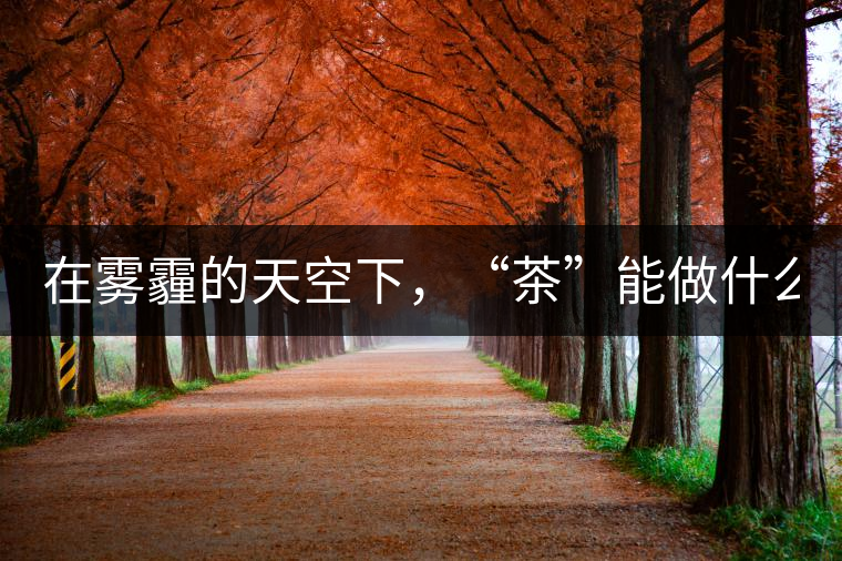 在霧霾的天空下，“茶”能做什么？
