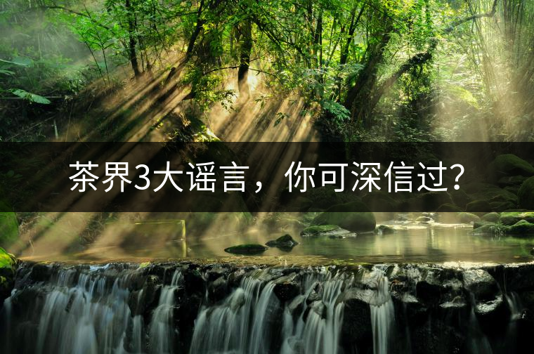 茶界3大謠言，你可深信過？