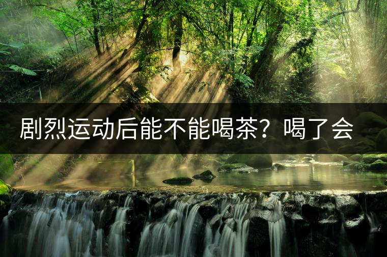 劇烈運(yùn)動(dòng)后能不能喝茶？喝了會(huì)有什么不適？