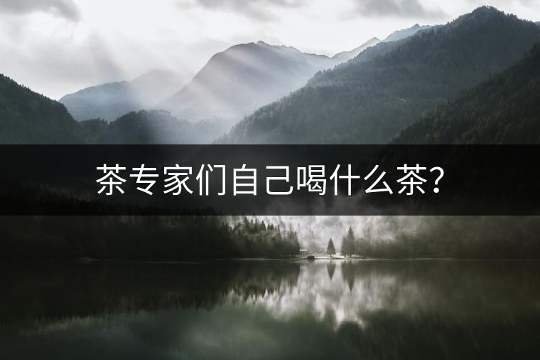 茶專家們自己喝什么茶？