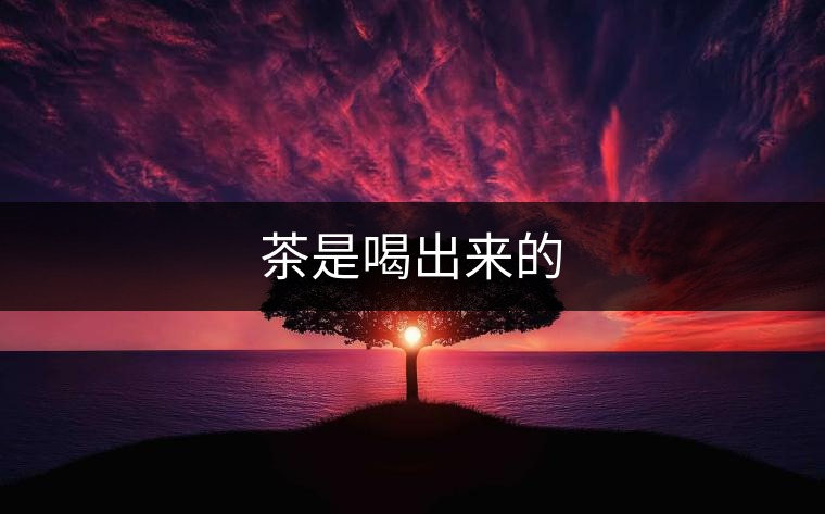 茶是喝出來(lái)的 茶是喝出來(lái)的