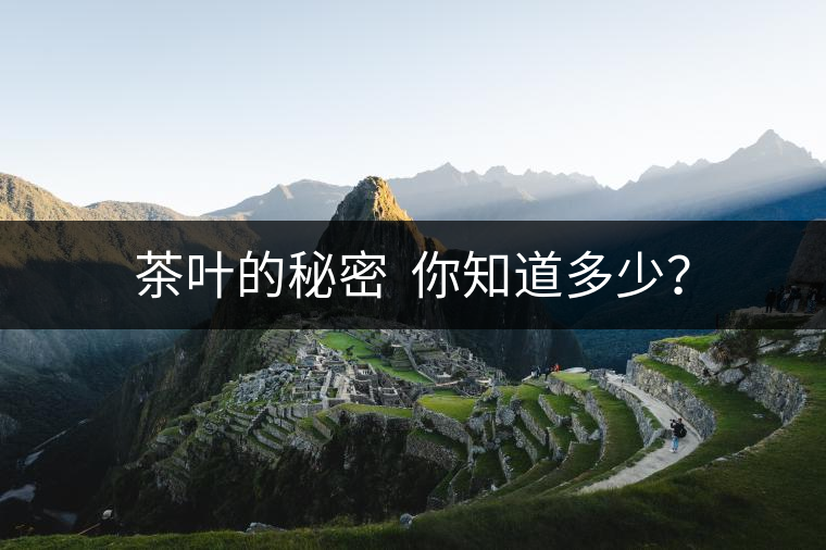 茶葉的秘密  你知道多少？