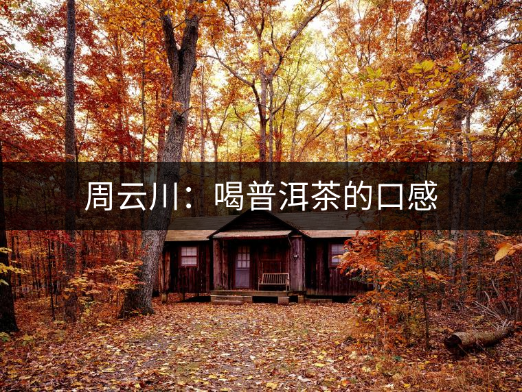 周云川:喝普洱茶的口感 周云川:喝普洱茶的口感