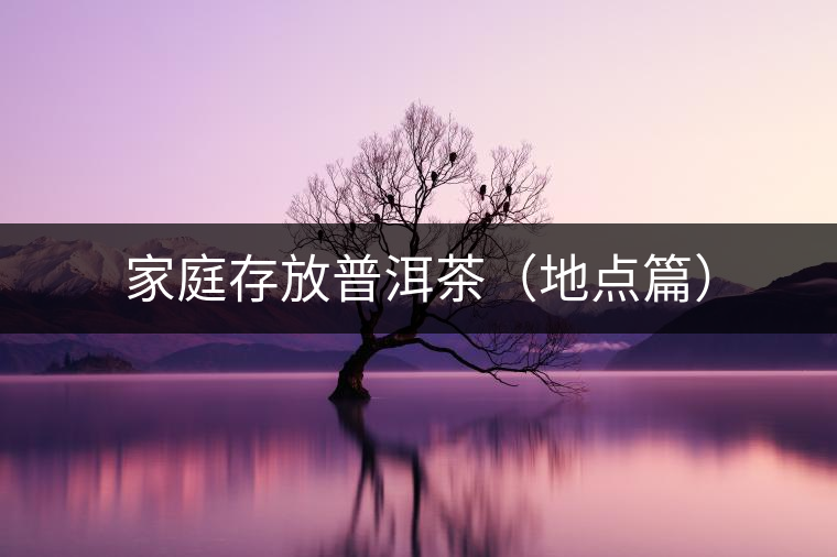 家庭存放普洱茶(地點(diǎn)篇) 家庭存放普洱茶(地點(diǎn)篇)