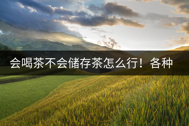 會(huì)喝茶不會(huì)儲(chǔ)存茶怎么行！各種存茶方法與技巧，把茶香留住