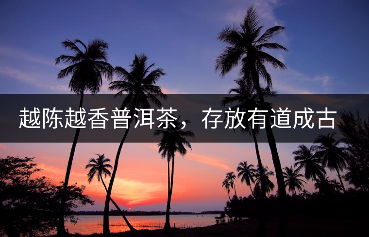 越陳越香普洱茶，存放有道成古董