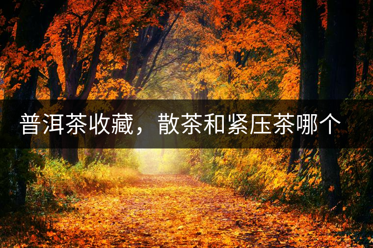 普洱茶收藏，散茶和緊壓茶哪個(gè)更好？