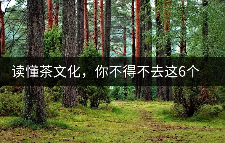 讀懂茶文化，你不得不去這6個(gè)城市