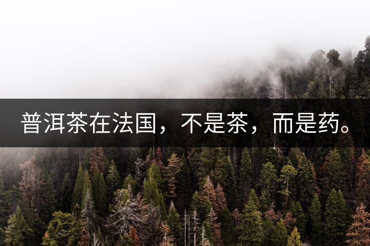 普洱茶在法國，不是茶，而是藥。