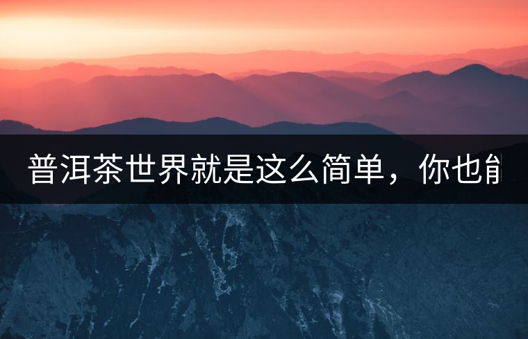 普洱茶世界就是這么簡單，你也能懂！