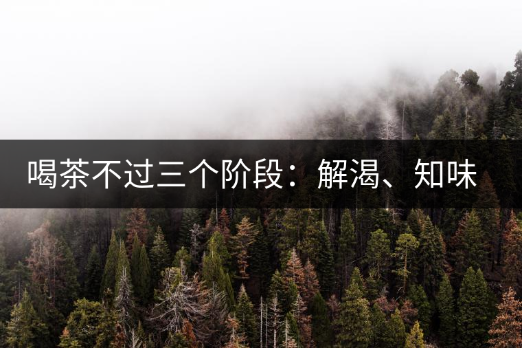 喝茶不過三個階段：解渴、知味、怡情