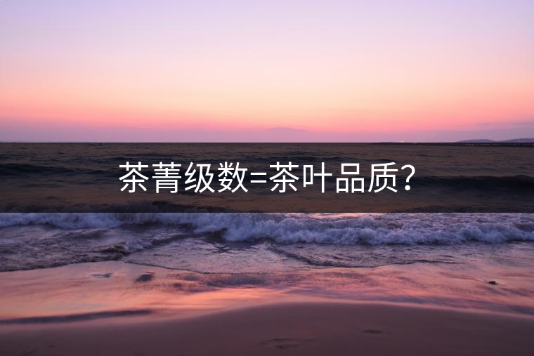 茶菁級(jí)數(shù)=茶葉品質(zhì)？
