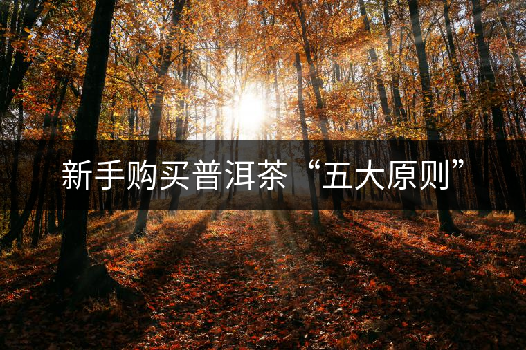新手購(gòu)買(mǎi)普洱茶“五大原則”