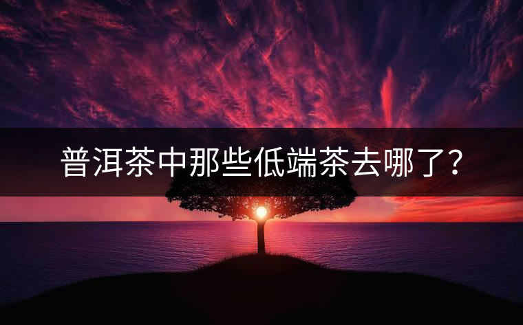 普洱茶中那些低端茶去哪了？