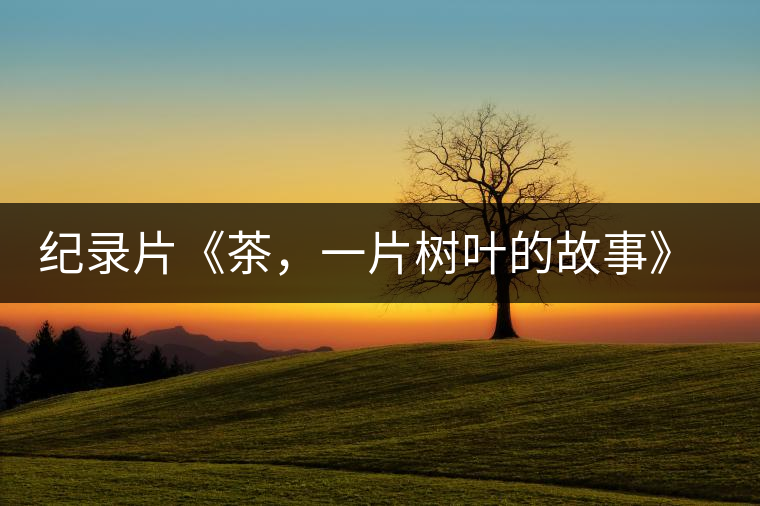 紀(jì)錄片《茶，一片樹葉的故事》 茶文化的詩意追尋