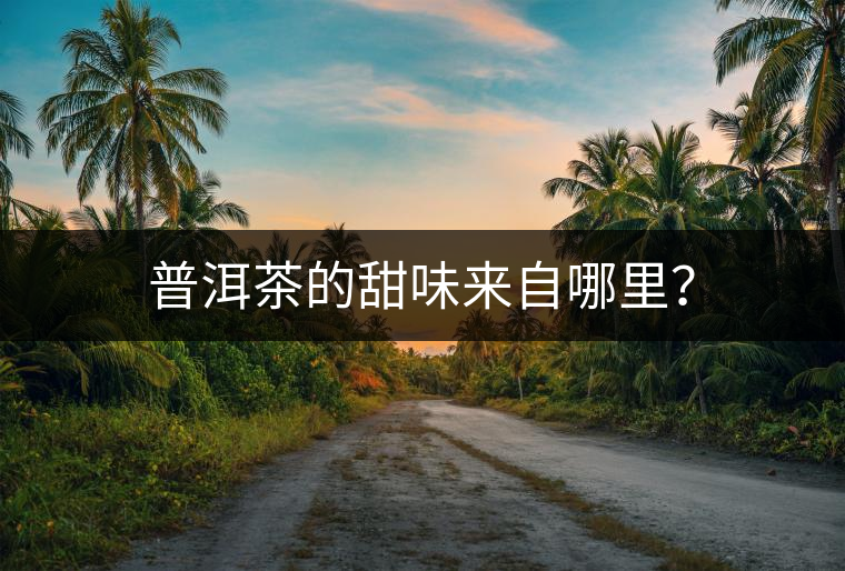 普洱茶的甜味來自哪里？