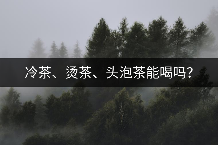冷茶、燙茶、頭泡茶能喝嗎？