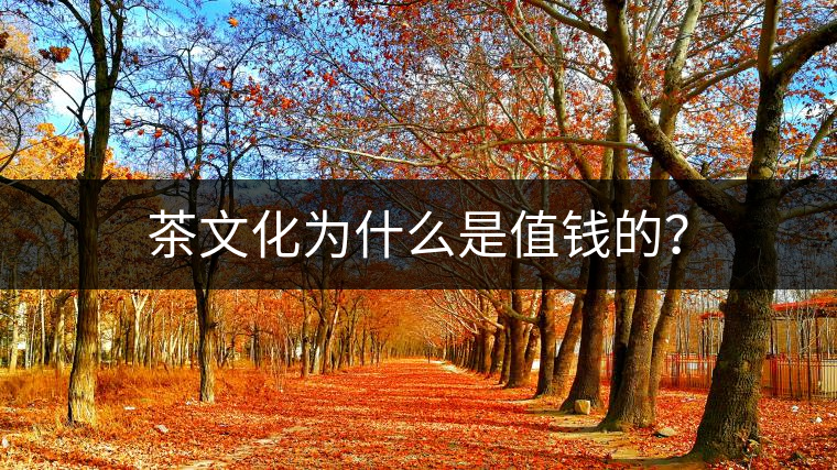 茶文化為什么是值錢的？