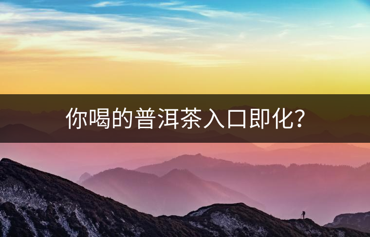 你喝的普洱茶入口即化？