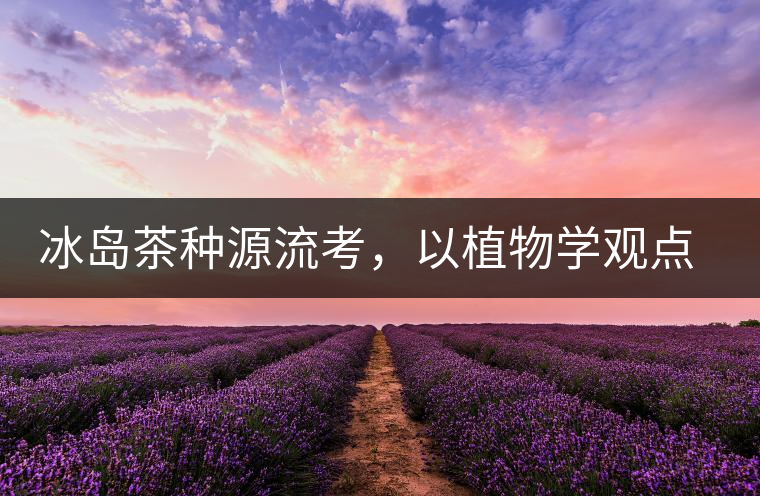 冰島茶種源流考，以植物學觀點解讀冰島茶