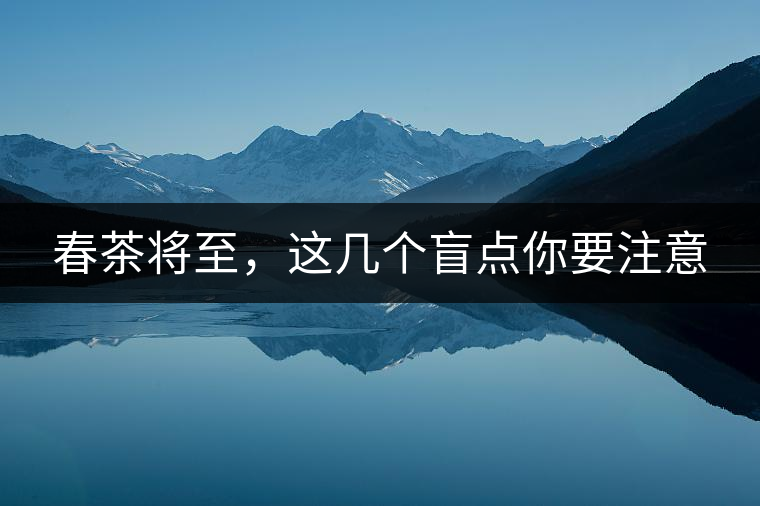 春茶將至，這幾個盲點(diǎn)你要注意