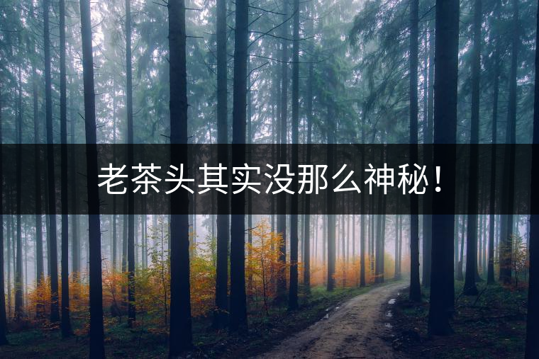 老茶頭其實沒那么神秘！