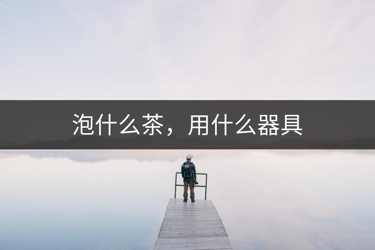 泡什么茶，用什么器具