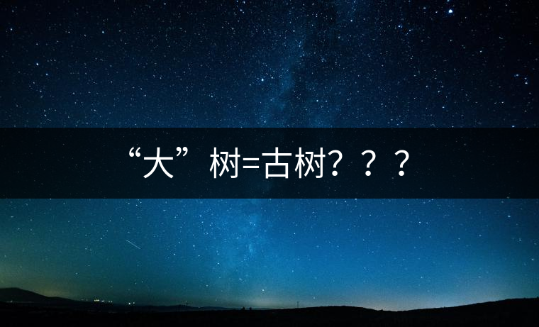 “大”樹(shù)=古樹(shù)？？？