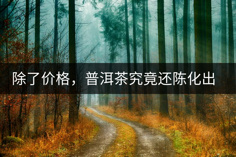 除了價格，普洱茶究竟還陳化出了啥？