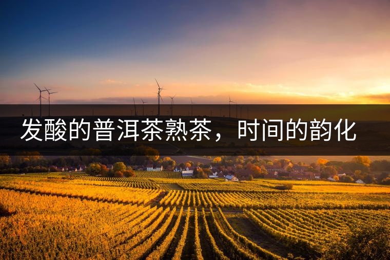 發(fā)酸的普洱茶熟茶，時間的韻化會讓它驚艷無比！