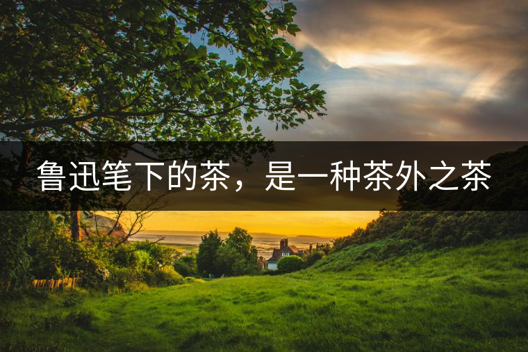 魯迅筆下的茶，是一種茶外之茶