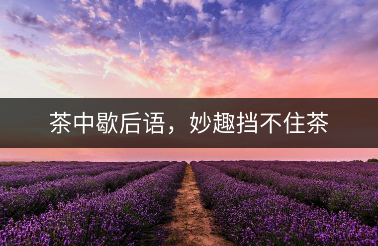 茶中歇后語(yǔ)，妙趣擋不住茶