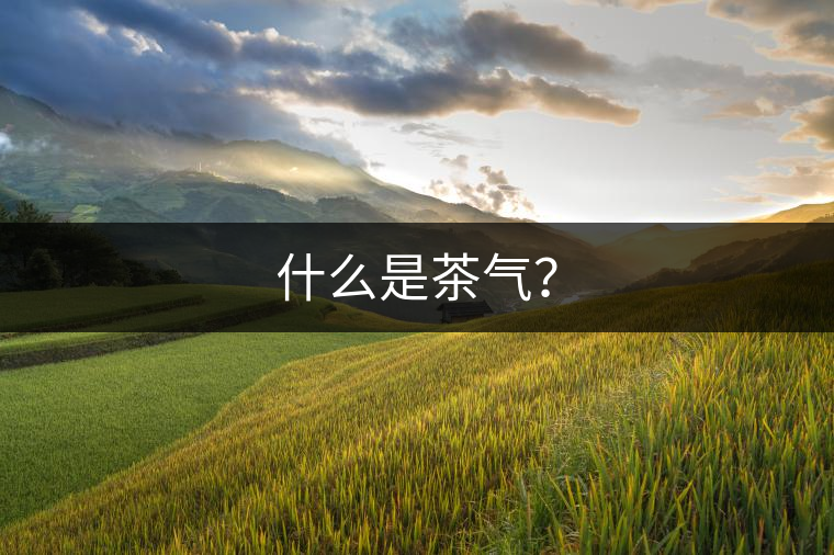 什么是茶氣？