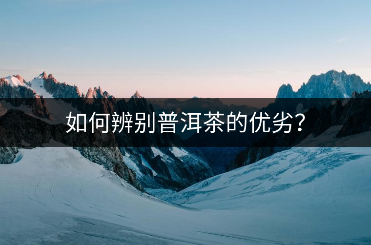 如何辨別普洱茶的優(yōu)劣? 如何辨別普洱茶的優(yōu)劣?