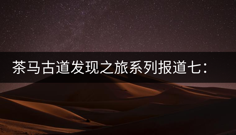茶馬古道發(fā)現(xiàn)之旅系列報(bào)道七:漢藏血脈普洱路 茶馬古道發(fā)現(xiàn)之旅系列報(bào)道七:漢藏血脈普洱路