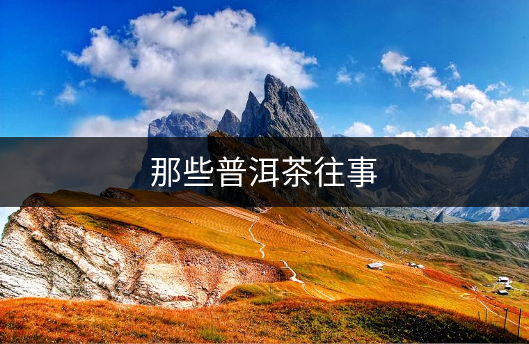 那些普洱茶往事 那些普洱茶往事