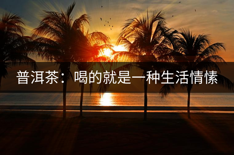 普洱茶:喝的就是一種生活情愫 普洱茶:喝的就是一種生活情愫