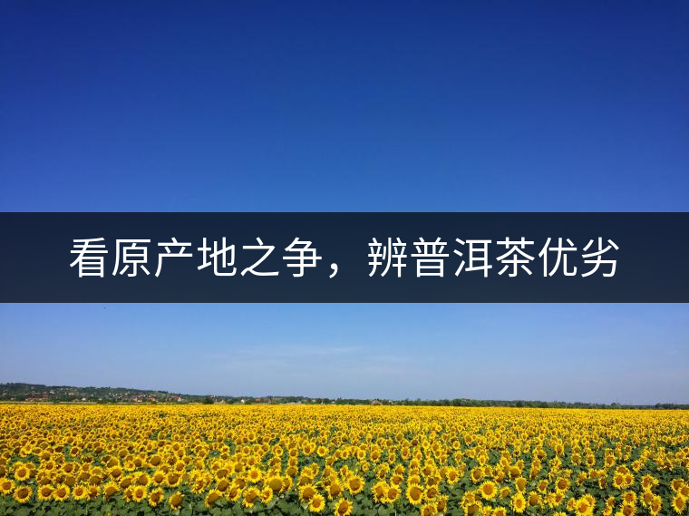 看原產(chǎn)地之爭，辨普洱茶優(yōu)劣