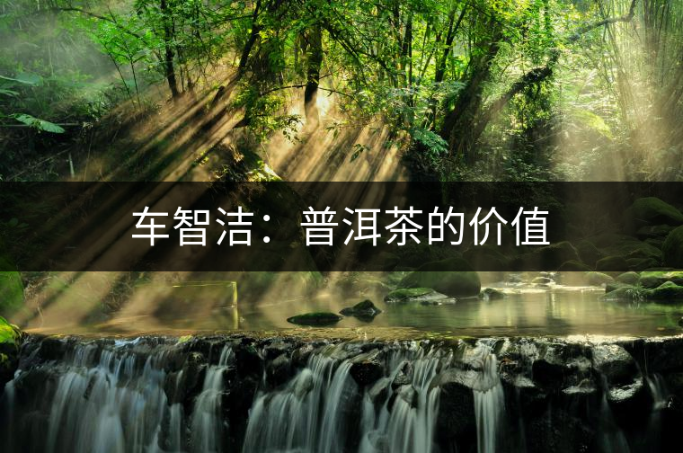 車智潔:普洱茶的價(jià)值 車智潔:普洱茶的價(jià)值