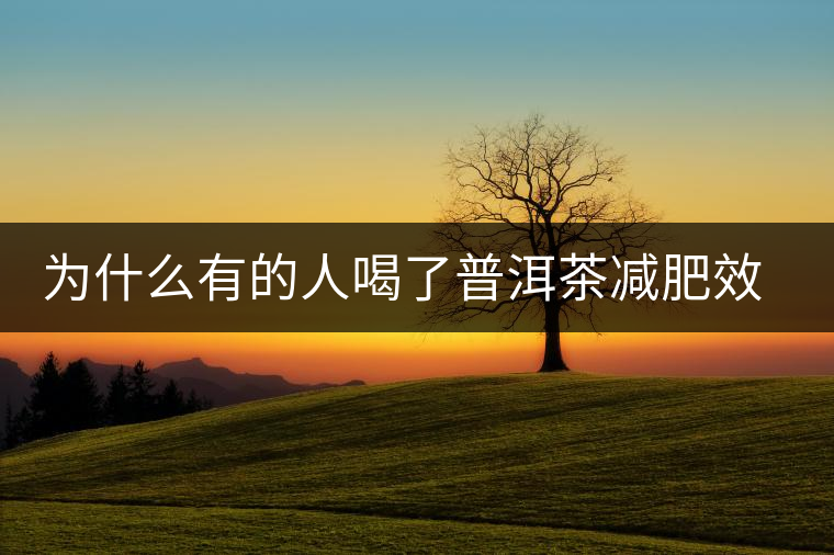 為什么有的人喝了普洱茶減肥效果不明顯呢？