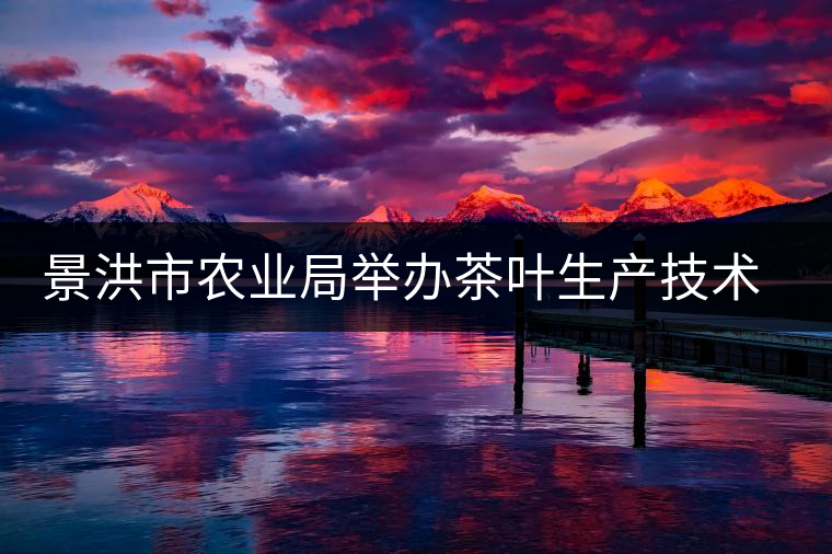 景洪市農業(yè)局舉辦茶葉生產技術培訓 景洪市農業(yè)局舉辦茶葉生產技術培訓