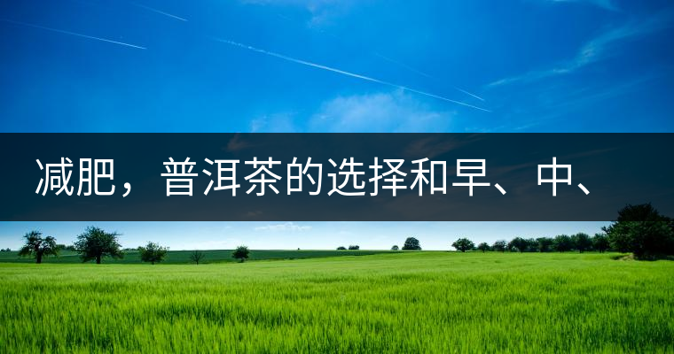 減肥，普洱茶的選擇和早、中、晚的喝法