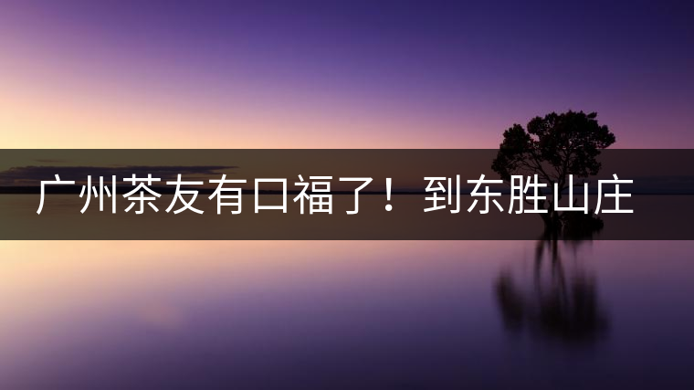 廣州茶友有口福了！到東勝山莊吃“普洱雞”去——