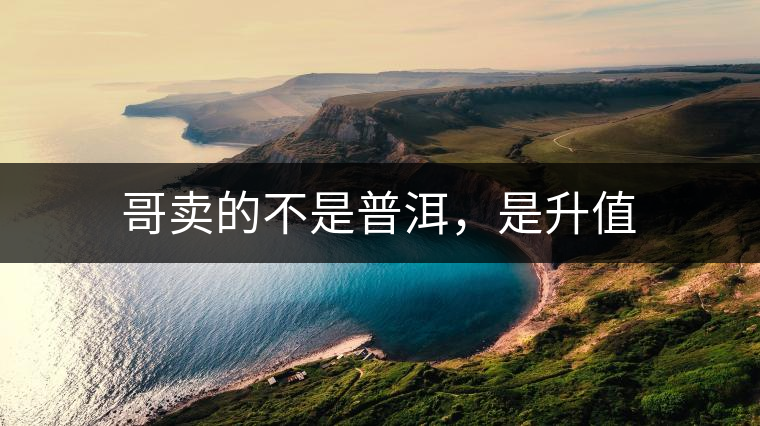 哥賣的不是普洱，是升值