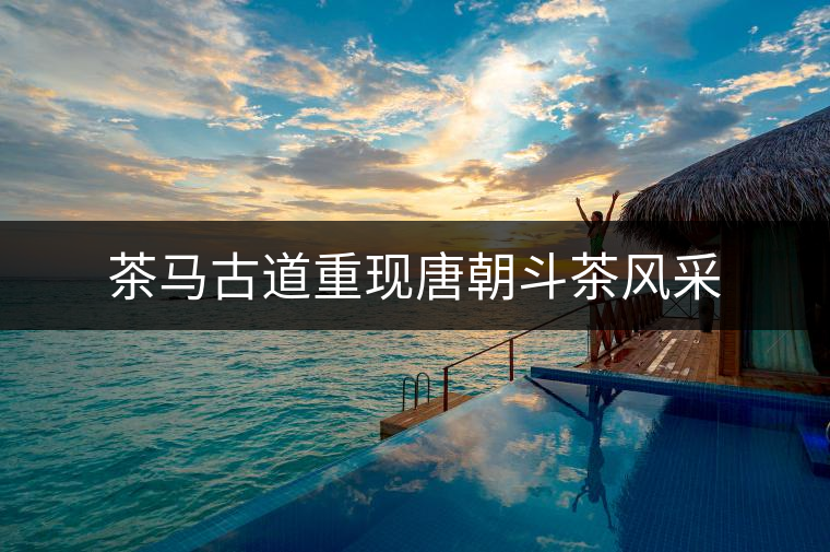 茶馬古道重現(xiàn)唐朝斗茶風采