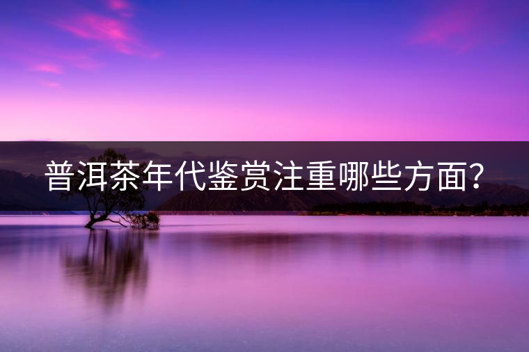 普洱茶年代鑒賞注重哪些方面？