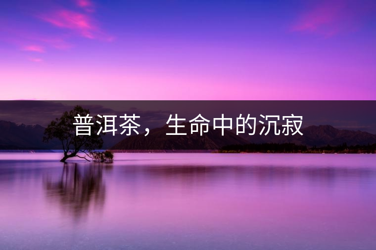 普洱茶，生命中的沉寂