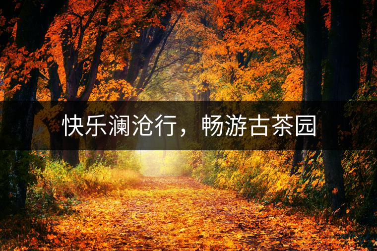 快樂瀾滄行，暢游古茶園