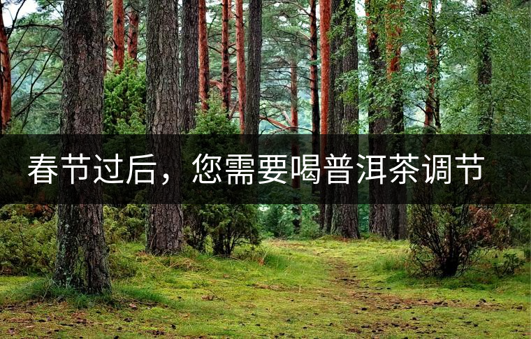 春節(jié)過后，您需要喝普洱茶調(diào)節(jié)身體