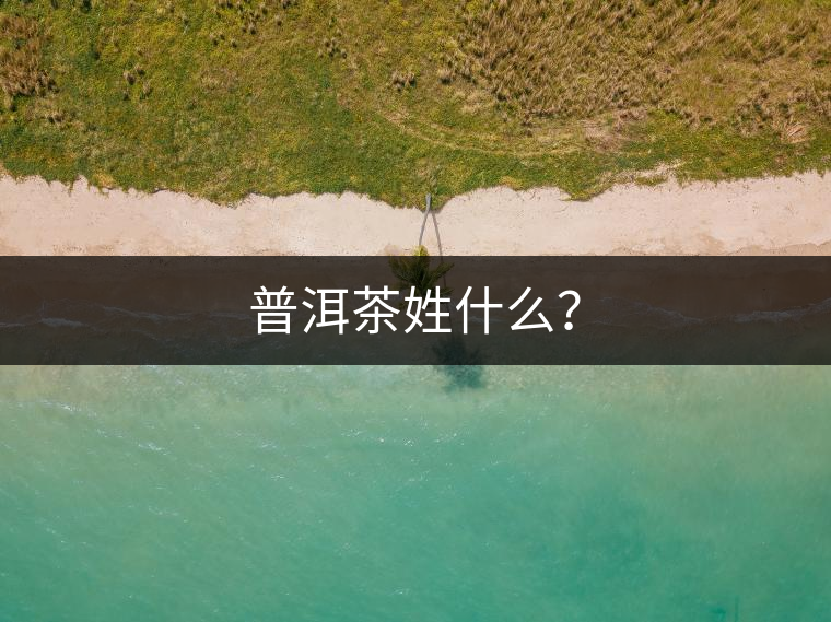 普洱茶姓什么？